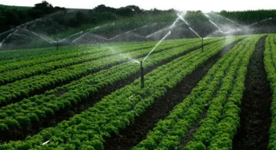 agricultural irrigation